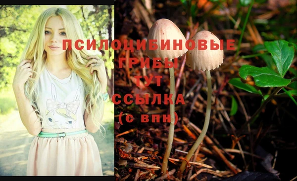 герыч Алексеевка
