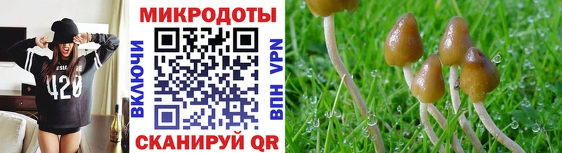 Псилоцибиновые грибы мухоморы  купить наркотики цена  Вихоревка 